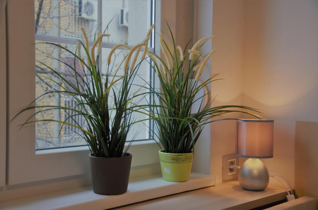 Spacious 2-Bedroom Apartment With Luxury Feel Novi Sad Exteriör bild
